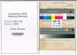Entnazifizierung Richard Gross , geb. 08.09.1908 (Polizist)