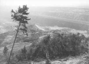 Braunkohlentagebau Hirschfelde (Kopalnia Turoszów), östlich der Lausitzer Neiße; seit 1945 Polen. Riesenrutschung der Tagebauwand am Niederbusch. Blick vom Niederbusch in Richtung der Rutschung gegen Abbauebenen