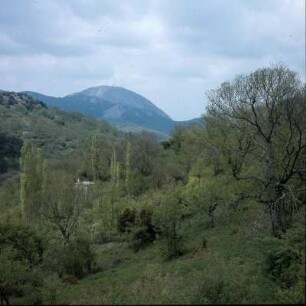 Lesbos, Waldtal am Ólympos, 968 m