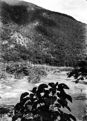 Tal des Rio Miguilla : Blick in ein Bergtal mit Fluss, Auen und Trockenwald