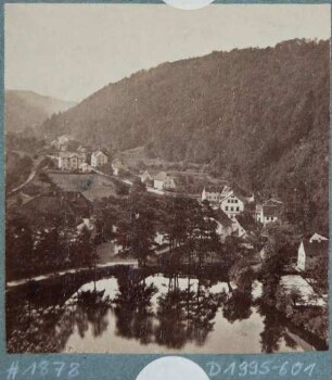 Tharandt, Blick über den Schlossteich in das Tal der Wilden Weißeritz