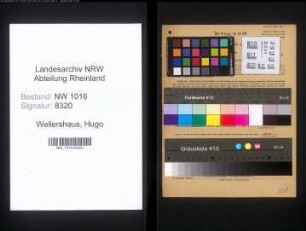 Entnazifizierung Hugo Wellershaus , geb. 08.10.1882 (Arbeiter)