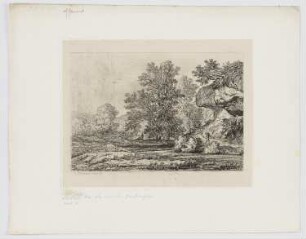 Schattiger Fluss