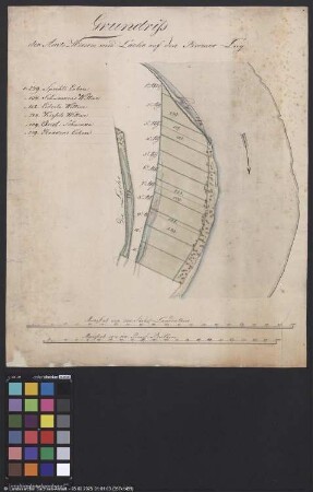 Grundriss der Amtswiesen und Lache auf dem "Bremer Lug" (bei Wittenberg?)