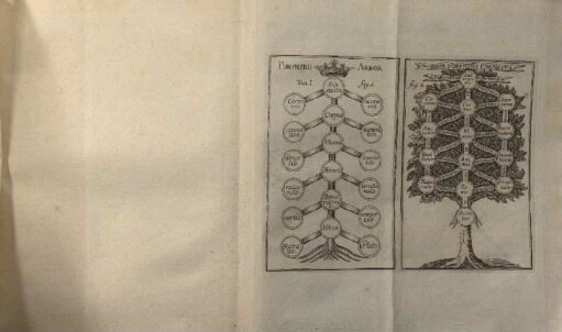 Porphyrii arbor.