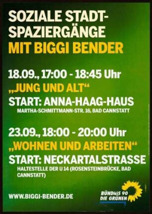 Bündnis 90/Die Grünen, Bundestagswahl 2009