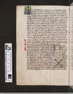 Flores in honorem s. Mariae virginis ex utriusque testamenti libris decerpti
