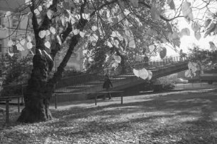 Herbststimmung im Nymphengarten