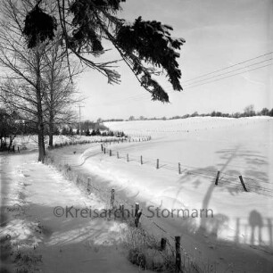 Norderbeste: Zäune auf Uferböschung: links Bäume: dahinter Häuser: Winter