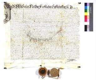 "Kaufbrief Wilhelm Neckher zu Dillingen" (Altrep. S. 331)