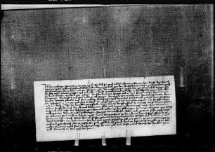 Heinrich vom Stain von Arnegg überläßt Graf Eberhard III. etliche Eigenleute als Zugehörde der Pfandschaft Arnegg.