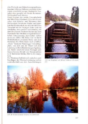 Abb. 4a: Ringkanal mit Holmer Schleuse (Abschnitt 2.3)