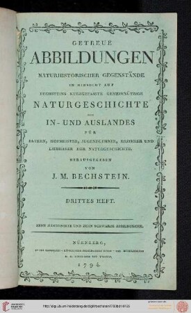 Drittes Heft (Tafeln 21-30)