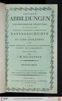 Drittes Heft (Tafeln 21-30)