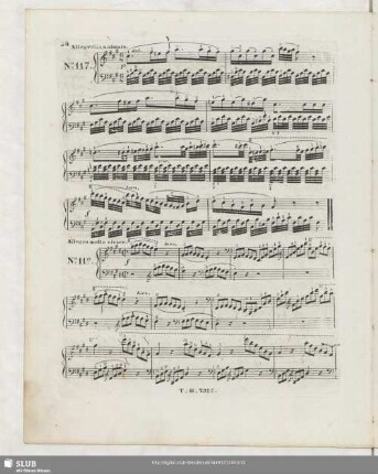 No. 117 Allegretto animato