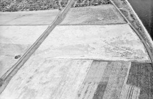 Mannheim: Brachland mit Feldweg