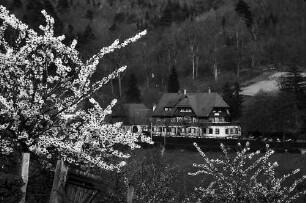 Freiburg i. Br.: Blick aufs Jägerhäusle