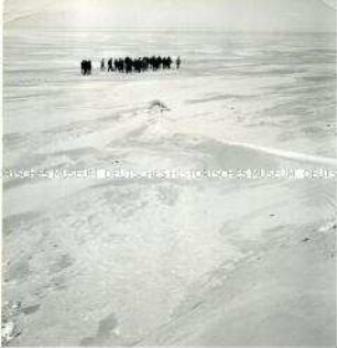 Eine Gruppe im Winter am Strand (Prämiertes Foto)