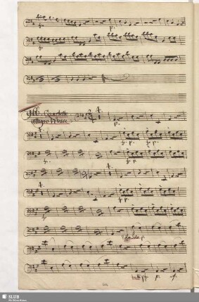 966. Introd[uzione]: Viva sempre viva amore / Anfossi, P.