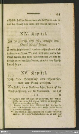 XV. Kapitel. Daß keine Spitzmäuse oder Winwürmer den Stock verletzen