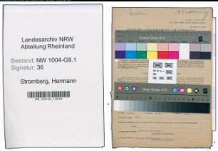 Entnazifizierung Hermann Stromberg , geb. 01.08.1900 (Malermeister)