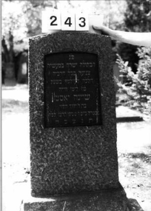 Grabstein 243 (Index: 100094467) Material: Granit Zustand: verwittert mit Textverlust Maße HxBxT: 109x47x21 cm Beschreibung: konische Stele, Sockel, Segmentbogenabschluß, Schriftplatte: Grabstein 243