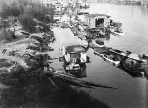 Am Sacramento Fluss : Anlegesteg und Boote am Sacramento Fluss