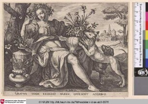 [Geruch; Smell]