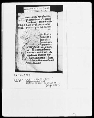 Psalterium — Initiale S (alvum me fac), Folio 75 verso