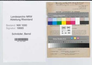 Entnazifizierung Bernd Schnitzler, geb. 07.04.1913 (Kaufm.Angest.)