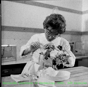 Laborarbeit im Institut für Strahlenbiologie (IStB)