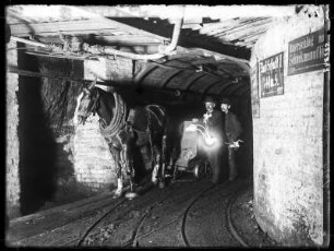 Zabrze, Königin-Luise-Grube, Pferdebetrieb in der Grube