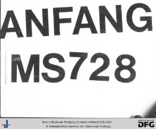 MF Mau 728