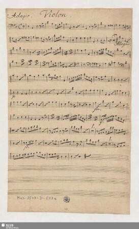 Violon
