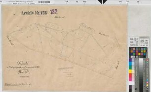 Rheine l.d.Ems (Rheine), Umlegung Hauenhorst, Urkarte I Flur 16,5
