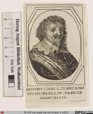 Bildnis Gaspard III de Coligny, marquis, später duc de Châtillon