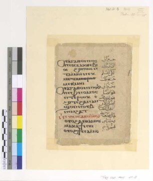Ps. CXVIII, 71-76