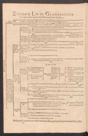 Synopsis Lib. III. Grammatices Arabicae, sive Syntaxeos Grammatices Arabicae.