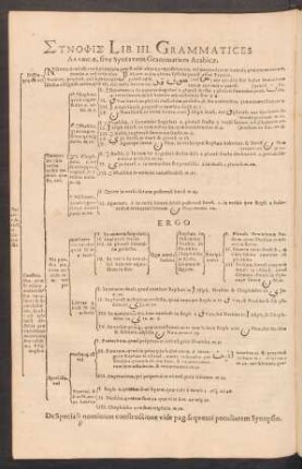 Synopsis Lib. III. Grammatices Arabicae, sive Syntaxeos Grammatices Arabicae.