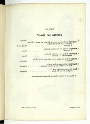 Tafel 53.