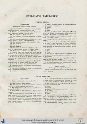 Explicatio Tabularum.