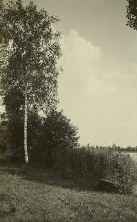 Königswartha. Am Großen Griesteich