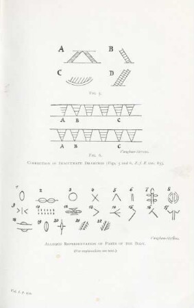 Correction of inaccurate drawings. Alleged representation of parts of the body