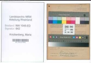 Entnazifizierung Maria Knickenberg , geb. 22.03.1877 ()