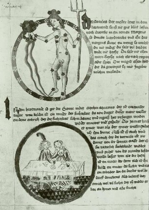 Illumination eines Lehrbuchs der Astronomie: :Schriftspiegel und Medaillons mit Tierkreiszeichen Wassermann und Monatsbild Januar mit tafelndem Paar