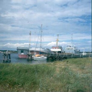 Darß. Hafen im Naturschutzgebiet Darßer Ort