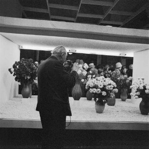 Dresden. Gartenausstellung. Ein Fotograf mit Kamera vor einer Ausstellungsfläche mit Nelken in Vasen