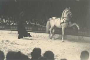 Micaela Busch, ohne Ortsangabe, ohne Jahr