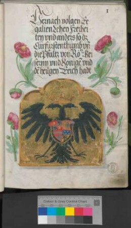 Reichslehen und kaiserliche Privilegien
