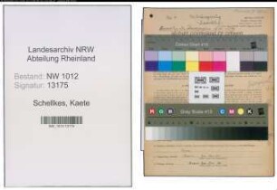 Entnazifizierung Kaete Schellkes , geb. 26.01.1895 (Koechin)